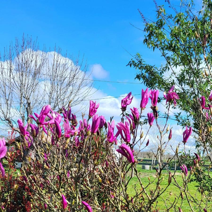 Domaine Toutet Birac  Dış mekan fotoğraf